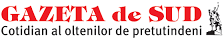 Gazeta de Sud